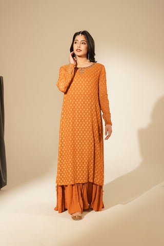 1 Piece Printed Chiffon Embroidered Dress (FL0134)