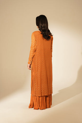 1 Piece Printed Chiffon Embroidered Dress (FL0134)
