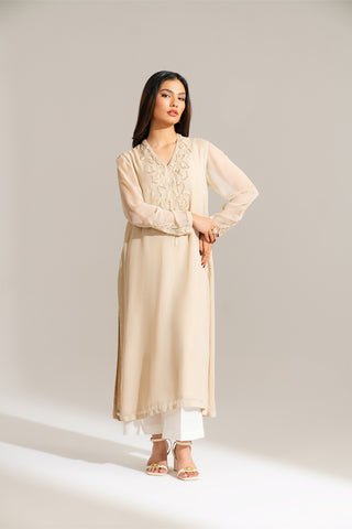 2 Piece Chiffon Embroidered Suit (FL0136)