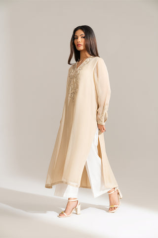 2 Piece Chiffon Embroidered Suit (FL0136)