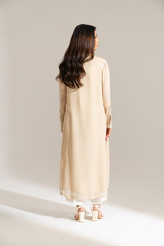 2 Piece Chiffon Embroidered Suit (FL0136)