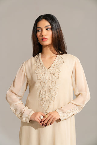 2 Piece Chiffon Embroidered Suit (FL0136)