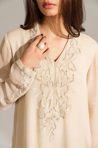 2 Piece Chiffon Embroidered Suit (FL0136)