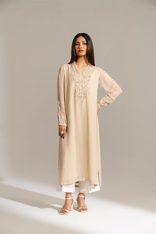 2 Piece Chiffon Embroidered Suit (FL0136)