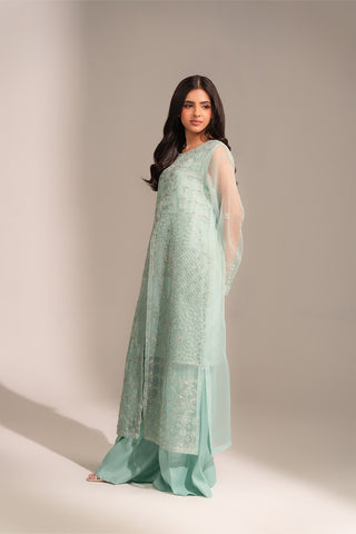 2 Piece Organza Embroidered Suit (FL0138)