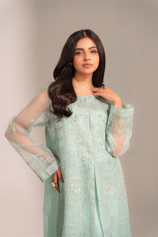 2 Piece Organza Embroidered Suit (FL0138)