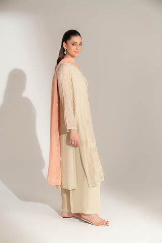 3 Piece Chiffon Embroidered Suit (FL0145)