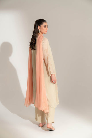 3 Piece Chiffon Embroidered Suit (FL0145)