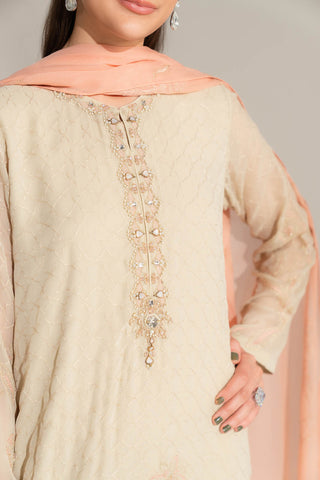 3 Piece Chiffon Embroidered Suit (FL0145)