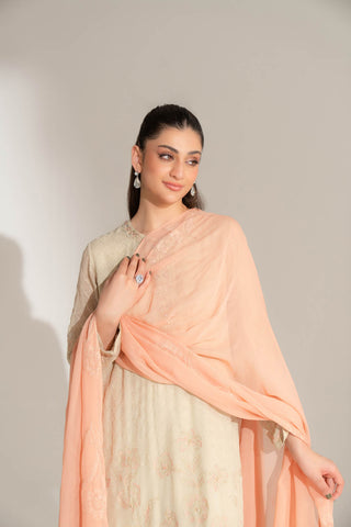 3 Piece Chiffon Embroidered Suit (FL0145)