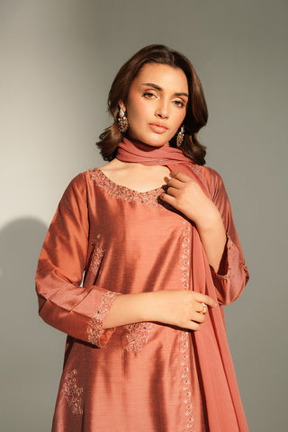 3 Piece Cotton Silk Embroidered Suit (FL0148)