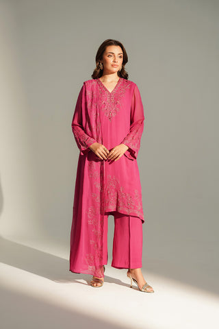 3 Piece Chiffon Embroidered Suit (FL0150)