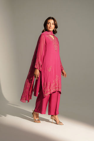 3 Piece Chiffon Embroidered Suit (FL0150)