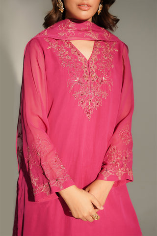 3 Piece Chiffon Embroidered Suit (FL0150)