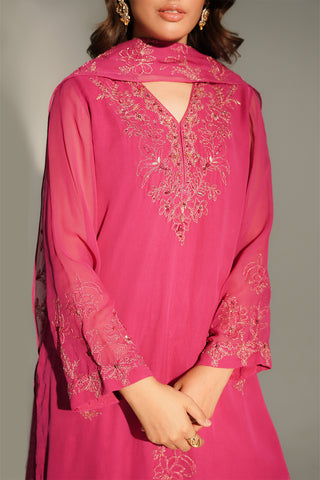 3 Piece Chiffon Embroidered Suit (FL0150)