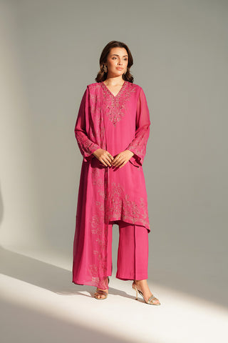 3 Piece Chiffon Embroidered Suit (FL0150)