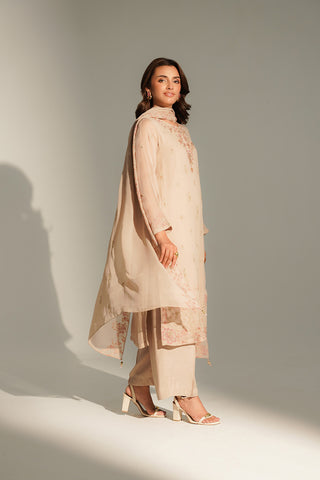 3 Piece Chiffon Embroidered Suit (FL0153)
