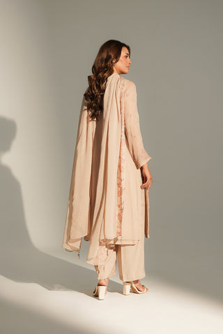 3 Piece Chiffon Embroidered Suit (FL0153)