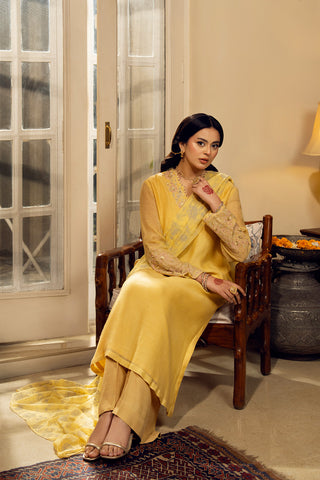 3 Piece Khaddi Net Embroidered Suit (FL0156)