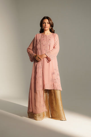 2 Piece Chiffon Embroidered Suit (FL0164)