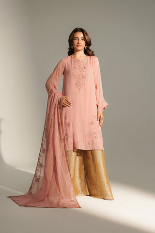 2 Piece Chiffon Embroidered Suit (FL0164)