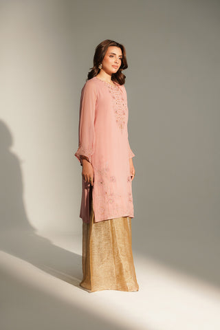 2 Piece Chiffon Embroidered Suit (FL0164)