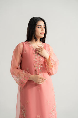 2 Piece Organza Embroidered Suit (FL0167)