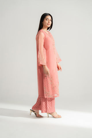 2 Piece Organza Embroidered Suit (FL0167)