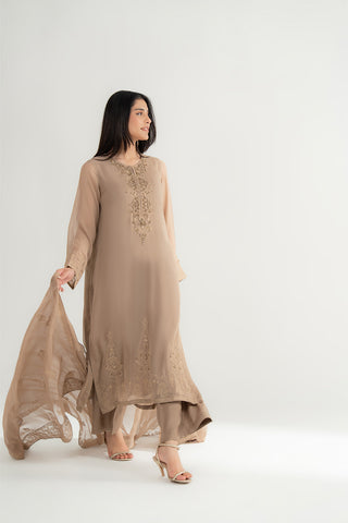 3 Piece Chiffon Embroidered Suit (FL0168)