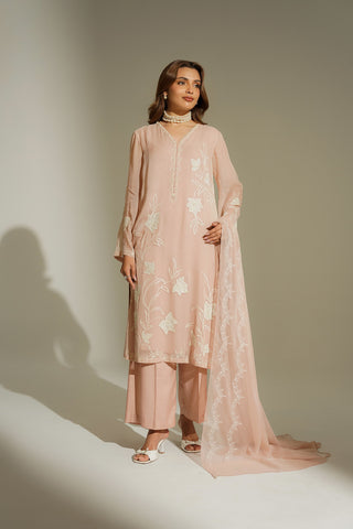 3 Piece Chiffon Embroidered Suit (FL0183)