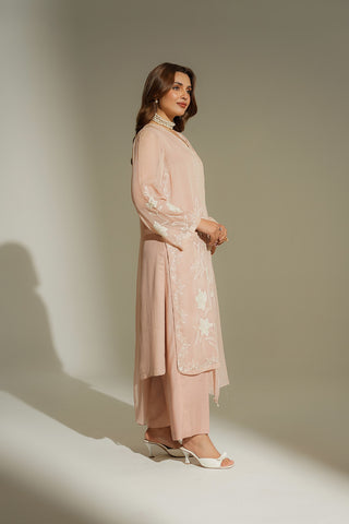 3 Piece Chiffon Embroidered Suit (FL0183)
