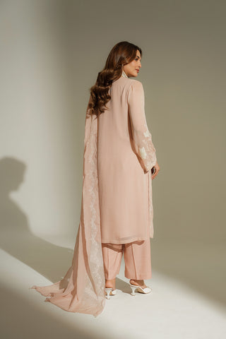 3 Piece Chiffon Embroidered Suit (FL0183)