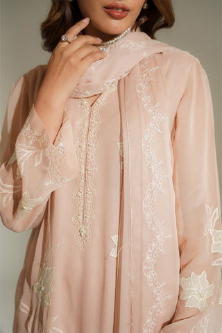 3 Piece Chiffon Embroidered Suit (FL0183)