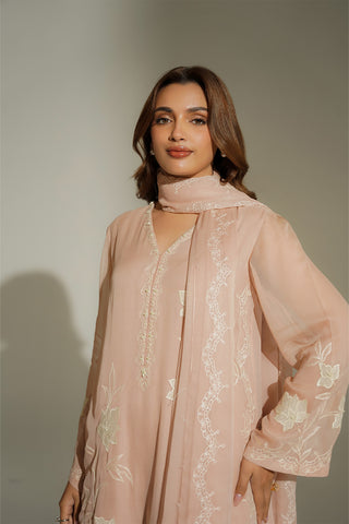 3 Piece Chiffon Embroidered Suit (FL0183)