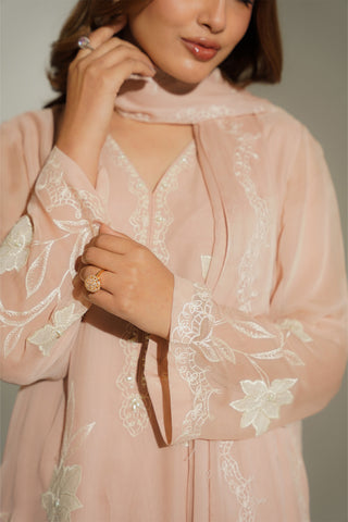 3 Piece Chiffon Embroidered Suit (FL0183)