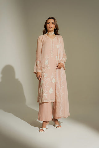 3 Piece Chiffon Embroidered Suit (FL0183)
