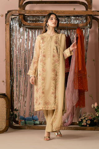 3 Piece Organza Embroidered Suit (FL0188)
