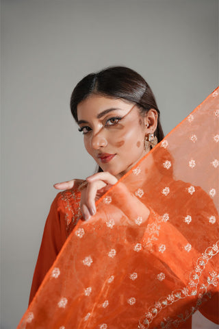 3 Piece Raw Silk Embroidered Suit (FL0198)