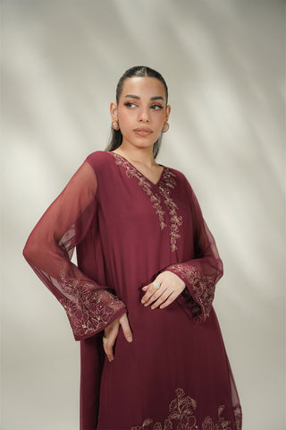 2 Piece Chiffon Embroidered Suit (FL0245)
