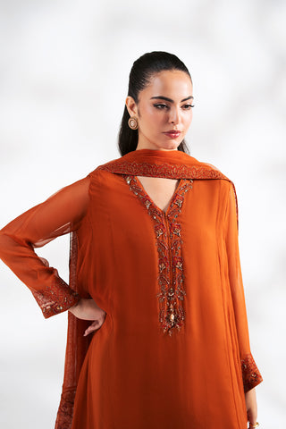 3 Piece Chiffon Embroidered Suit (FL0248)