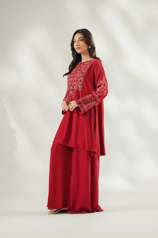 2 Piece Raw Silk Embroidered Suit (FL0254)