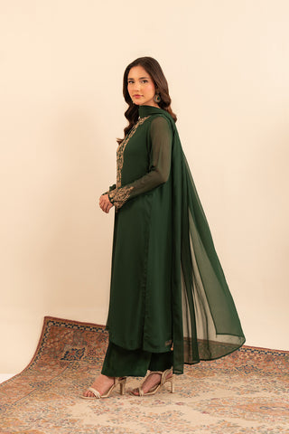 3 Piece Chiffon Embroidered (FS0027)