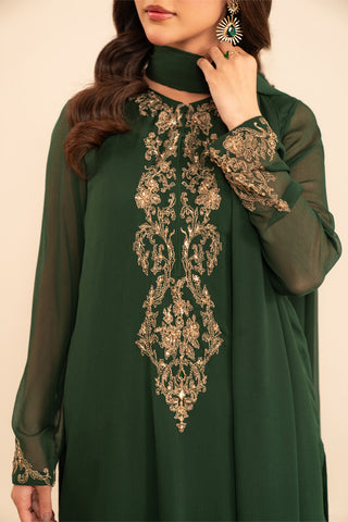 3 Piece Chiffon Embroidered (FS0027)
