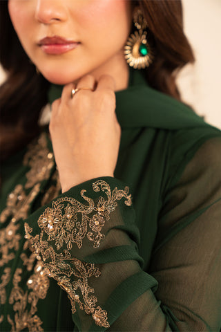3 Piece Chiffon Embroidered (FS0027)