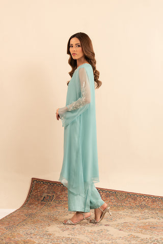 2 Piece Chiffon Embroidered (FS0033)