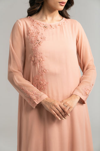 2 Piece Chiffon Embroidered Suit (FS0034)