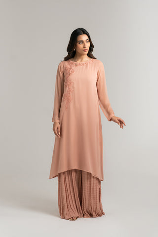 2 Piece Chiffon Embroidered Suit (FS0034)