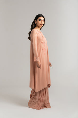2 Piece Chiffon Embroidered Suit (FS0034)