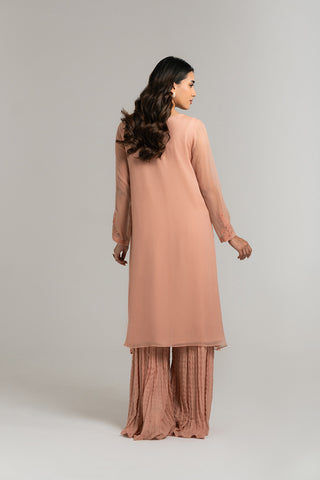 2 Piece Chiffon Embroidered Suit (FS0034)