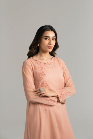 2 Piece Chiffon Embroidered Suit (FS0034)